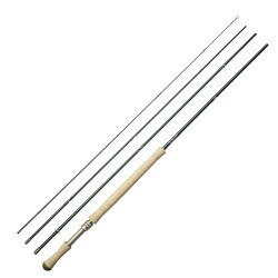 Winston Boron III TH Microspey Rod
